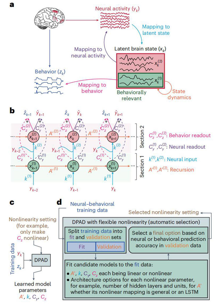 重磅！AI发现大脑新模式，脑机接口被“增强”了